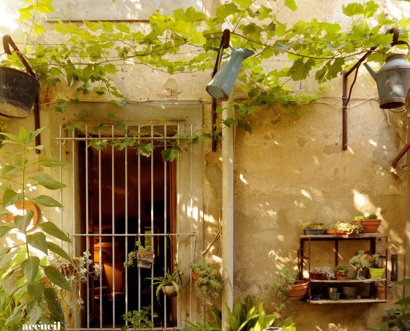 La Vigne Bleue 호텔 Olonzac 외부 사진